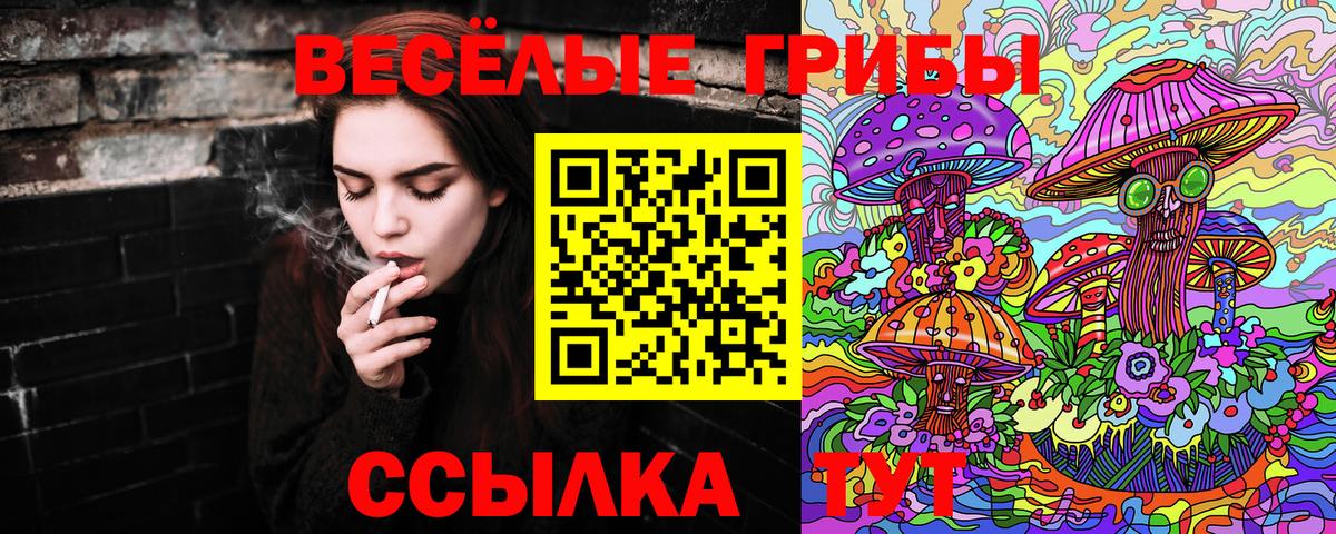 закладка  Галлюциногенные грибы Psilocybine cubensis  Вход с VPN  Серпухов 